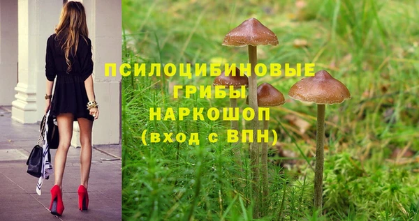 дмт Михайловка