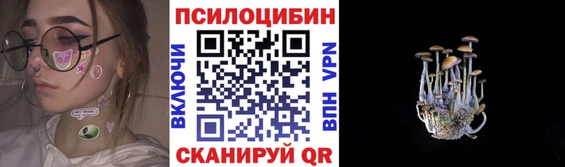 darknet состав  Эртиль  Псилоцибиновые грибы мухоморы 