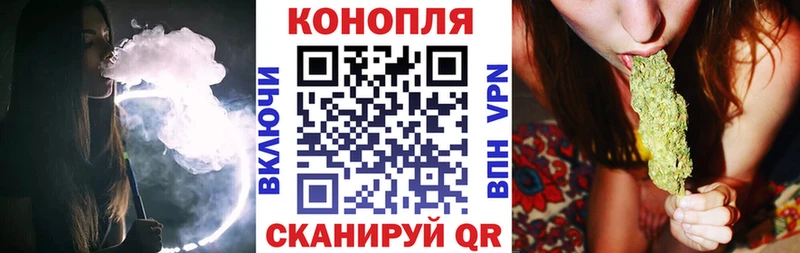 где купить наркоту  Эртиль  Бошки марихуана White Widow 